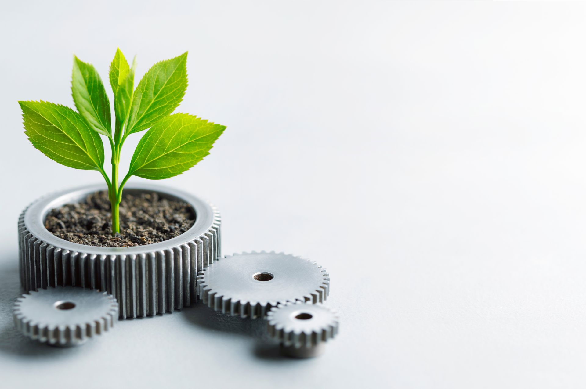Leed Tree How to Implement LEED Certification Standards in Your Building Projects ...