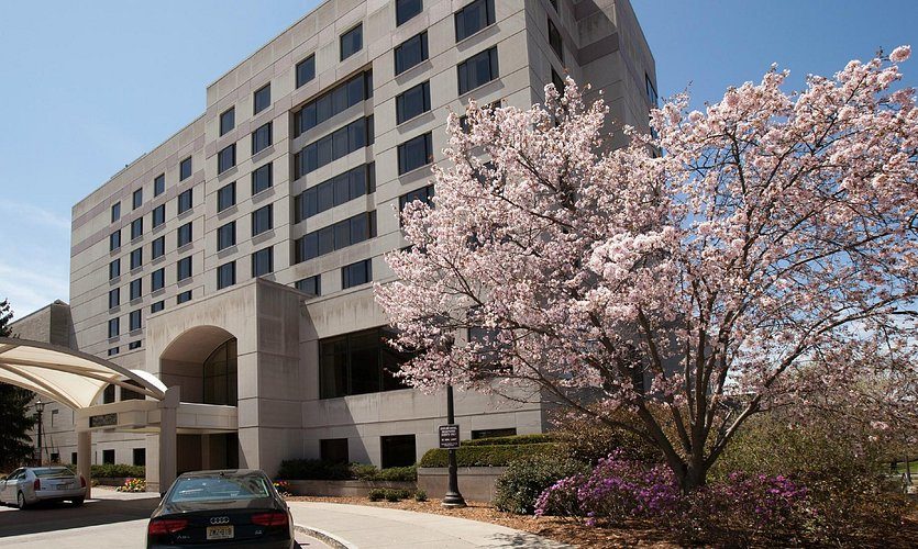 the-statler-hotel-at the-statler-hotel-at