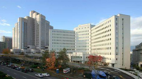 VGH-1